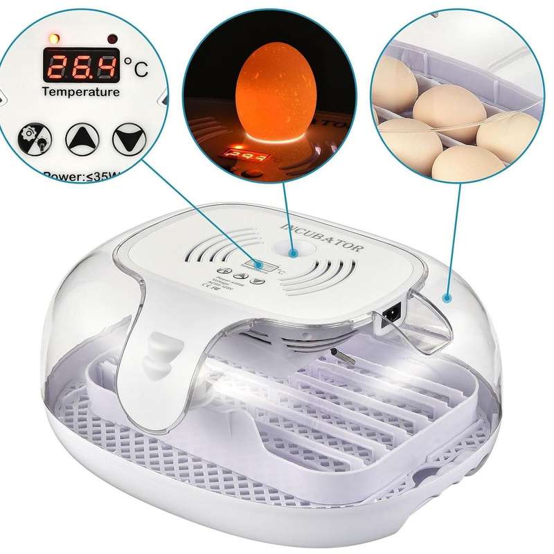 Automatic 16 Egg Incubator