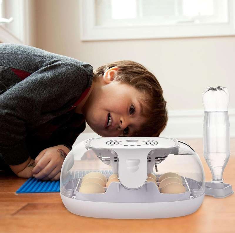 Automatic 16 Egg Incubator