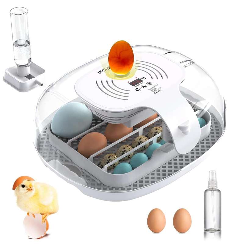 Automatic 16 Egg Incubator