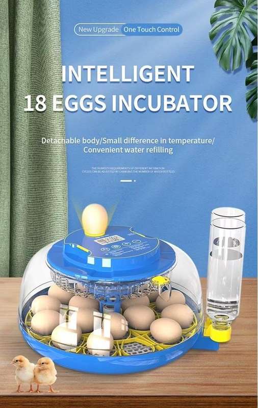 18 Egg incubator