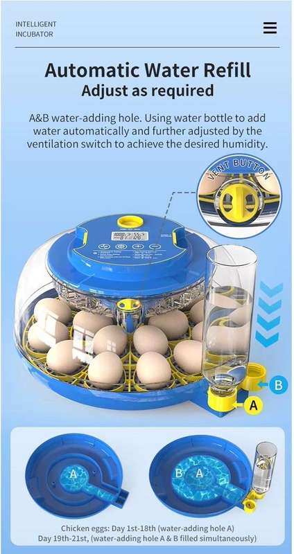 18 Egg incubator