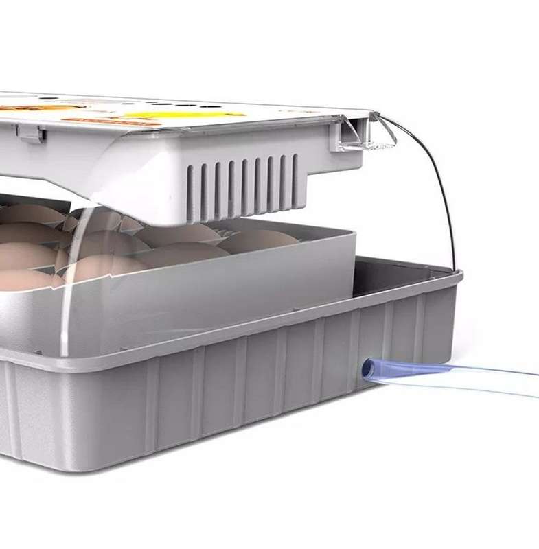 20 Egg Incubator-Upgrade