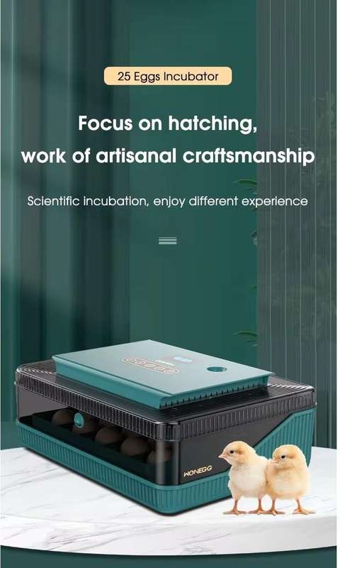 25 Automatic Egg Incubator
