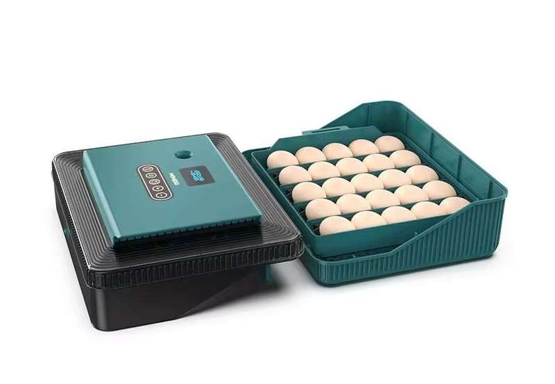 25 Automatic Egg Incubator