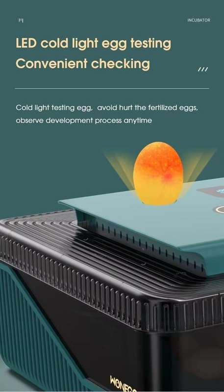 25 Automatic Egg Incubator