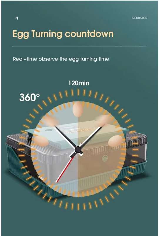 25 Automatic Egg Incubator