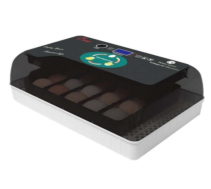 20 Egg Incubator