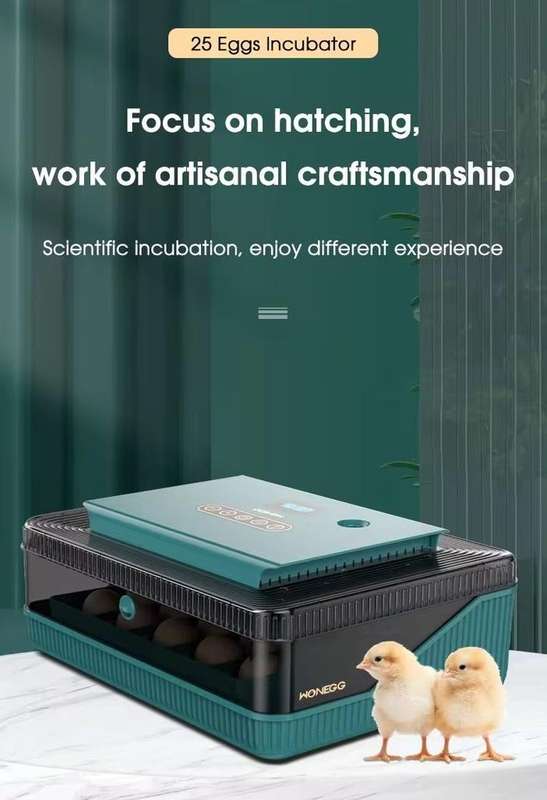 25 Egg Incubator -Green