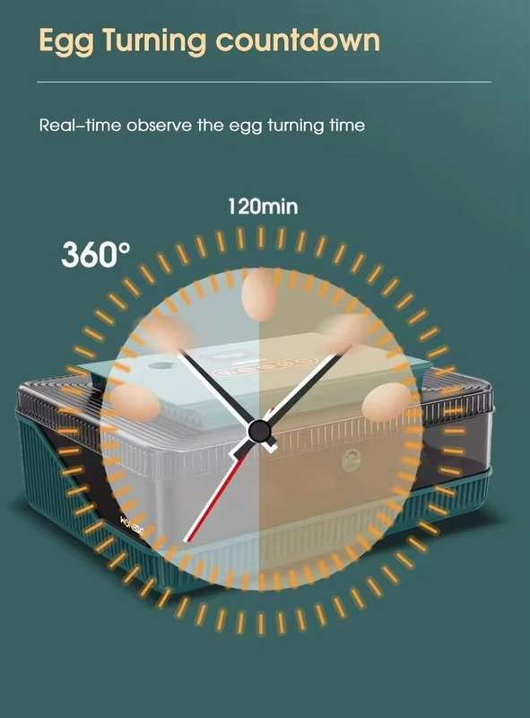 25 Egg Incubator -Green
