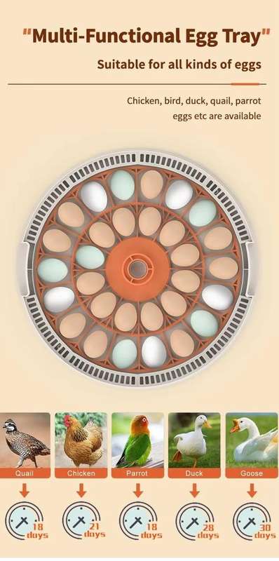 30 Egg Incubator