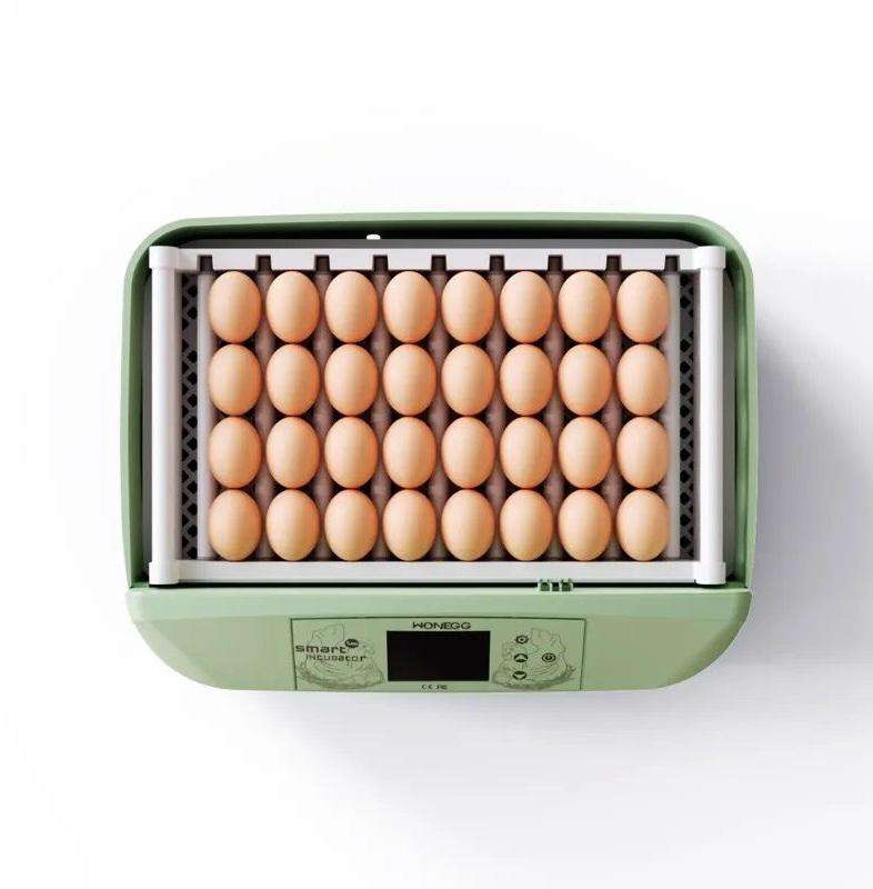 32 Egg Roller Incubator