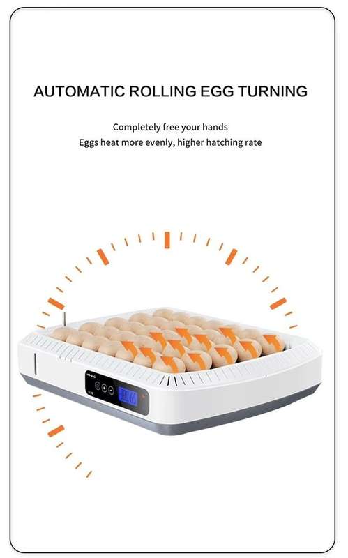 35 Egg Roller Incubator-Transparent