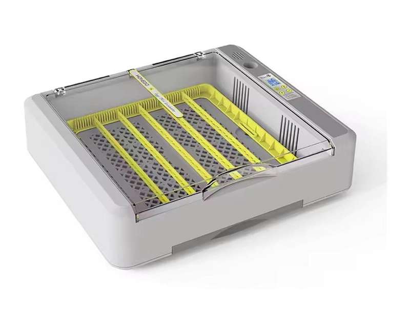 36 Egg Incubator Upgrade