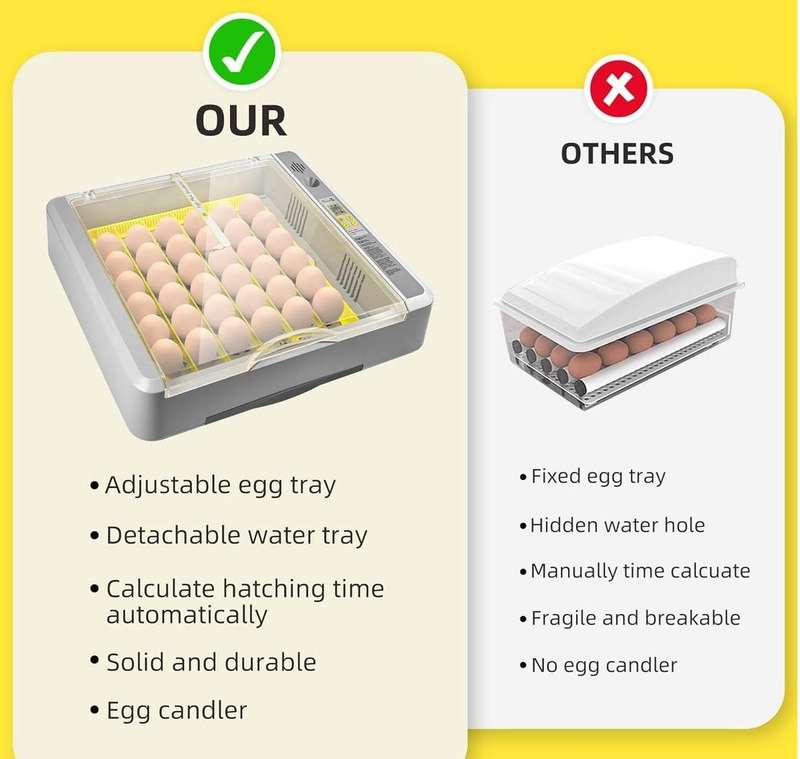 36 Egg Incubator Upgrade
