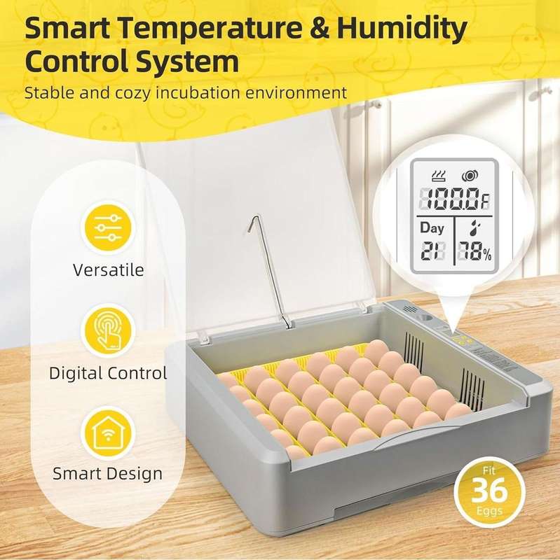 36 Egg Incubator Upgrade