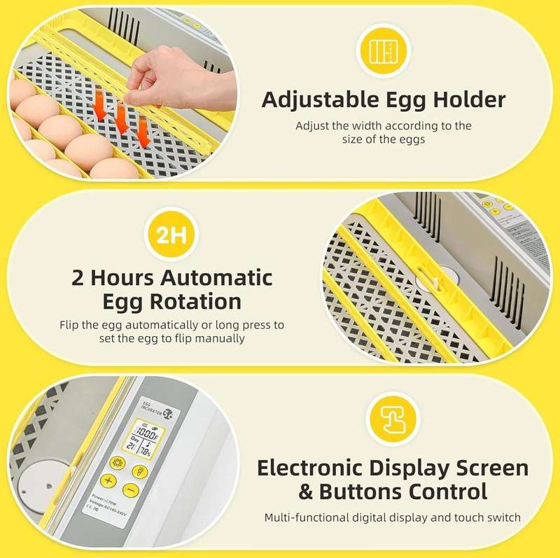 36 Egg Incubator Upgrade