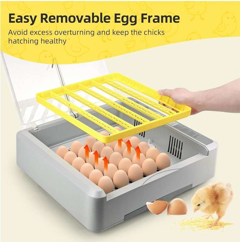 36 Egg Incubator Upgrade