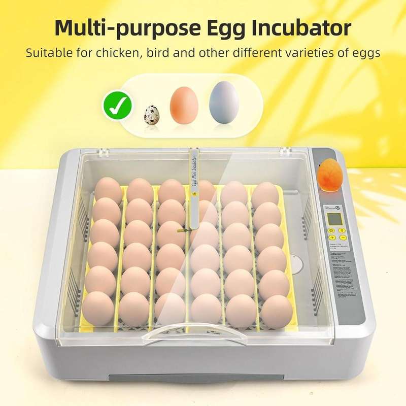 36 Egg Incubator Upgrade