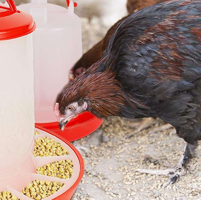 Chicken -3litre Drinker and 3kg Feeder Combo