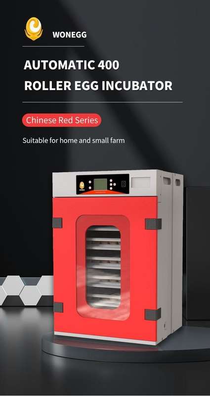 400 Egg Incubator
