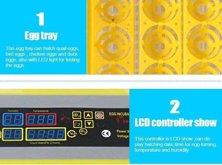 48 Egg Incubator
