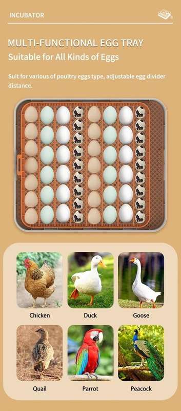 56 Egg Incubator H-Dual Power