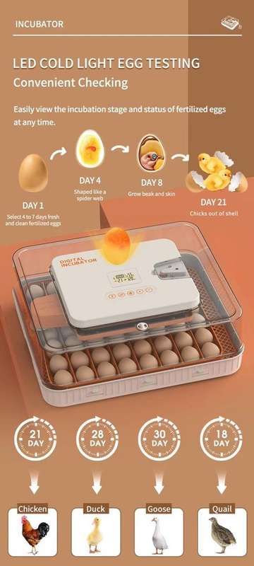 56 Egg Incubator H-Dual Power