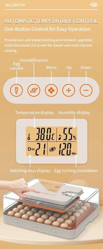 56 Egg Incubator H-Dual Power