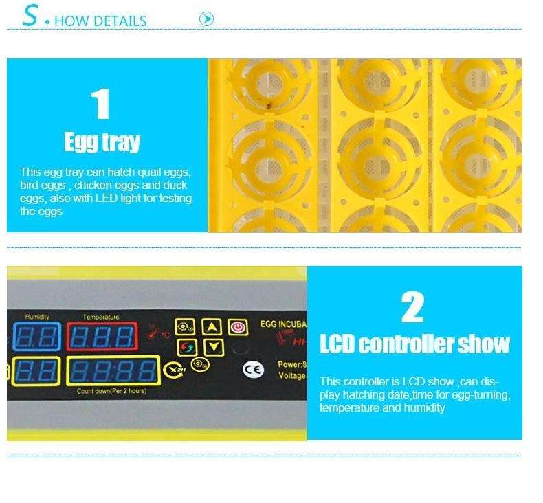 112 Egg Incubator with Candling torch