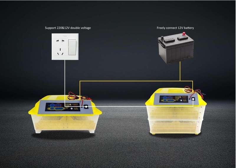 56 Egg Incubator with a Candling Torch