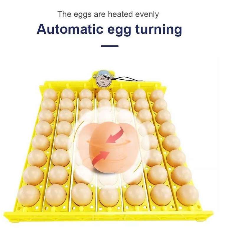 56 Egg Incubator with a Candling Torch