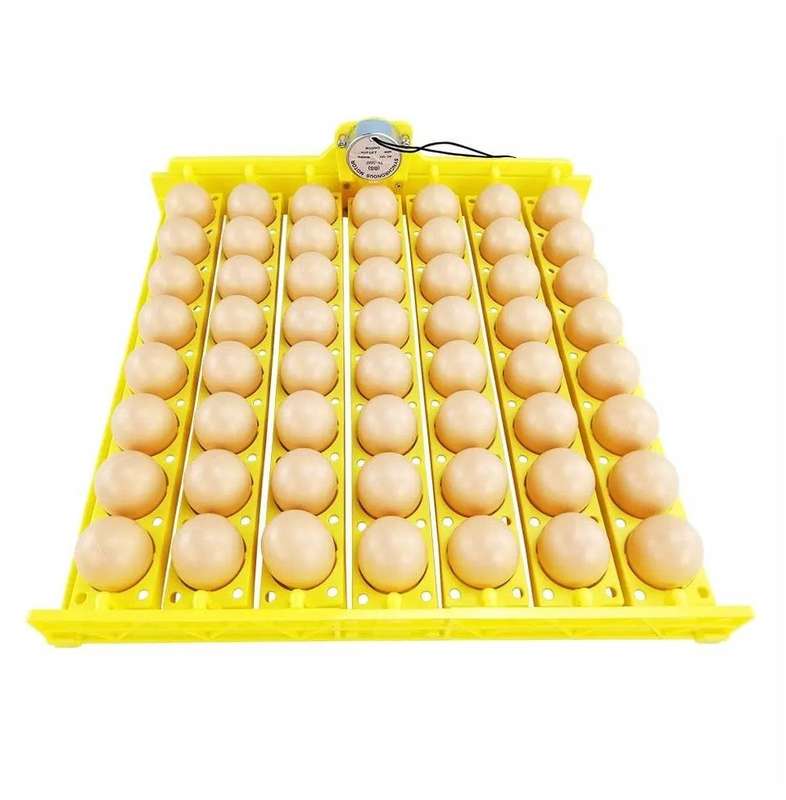 56 Egg Tray with 12-volt motor