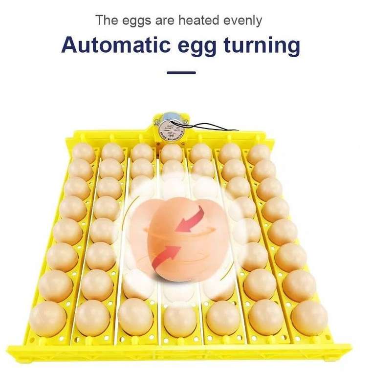 56 Egg Tray with 12-volt motor