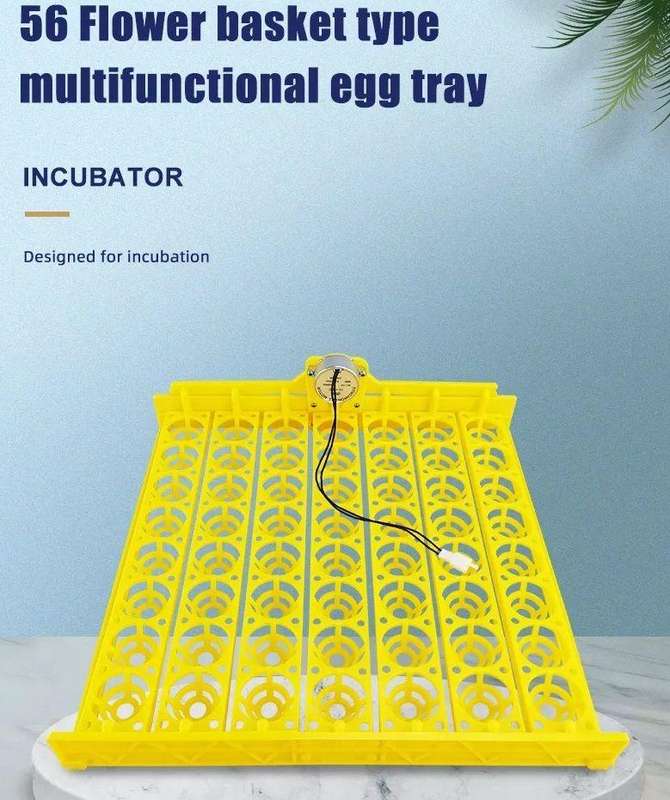 56 Egg Tray with 12-volt motor