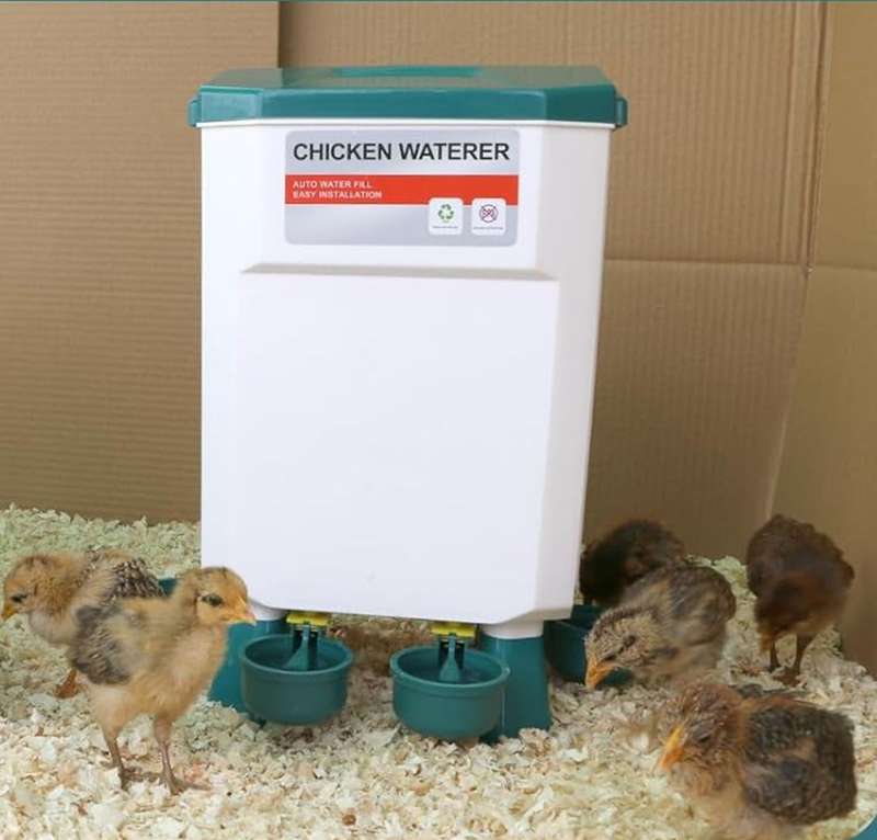 Automatic Blue Chicken Drinker-11 litres