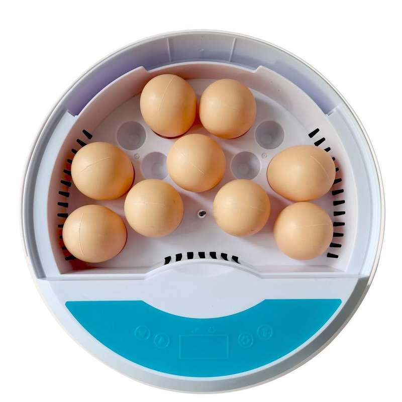 9 Egg Incubator