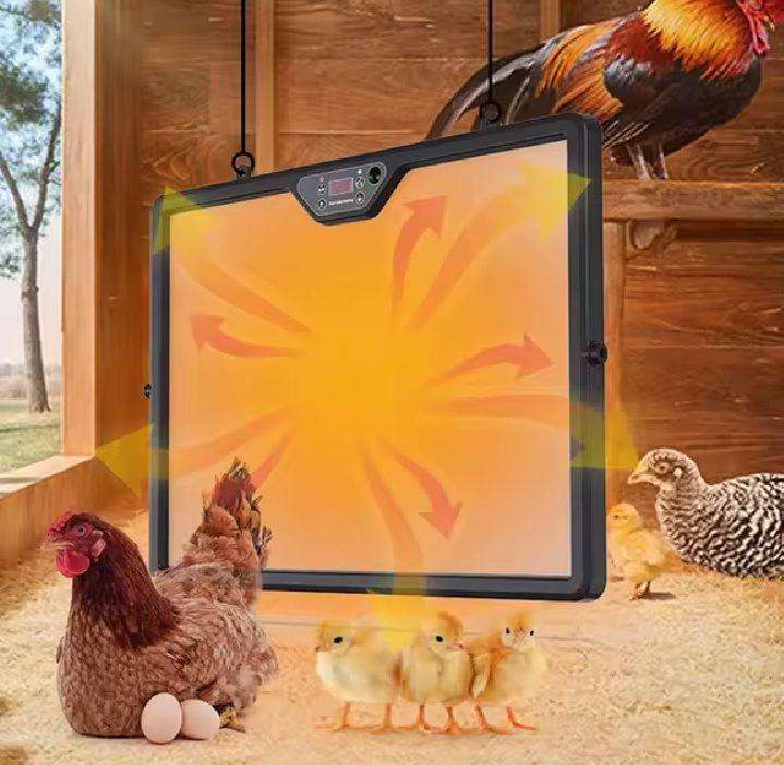 Animal Heater Plate-Double Sided with Remote