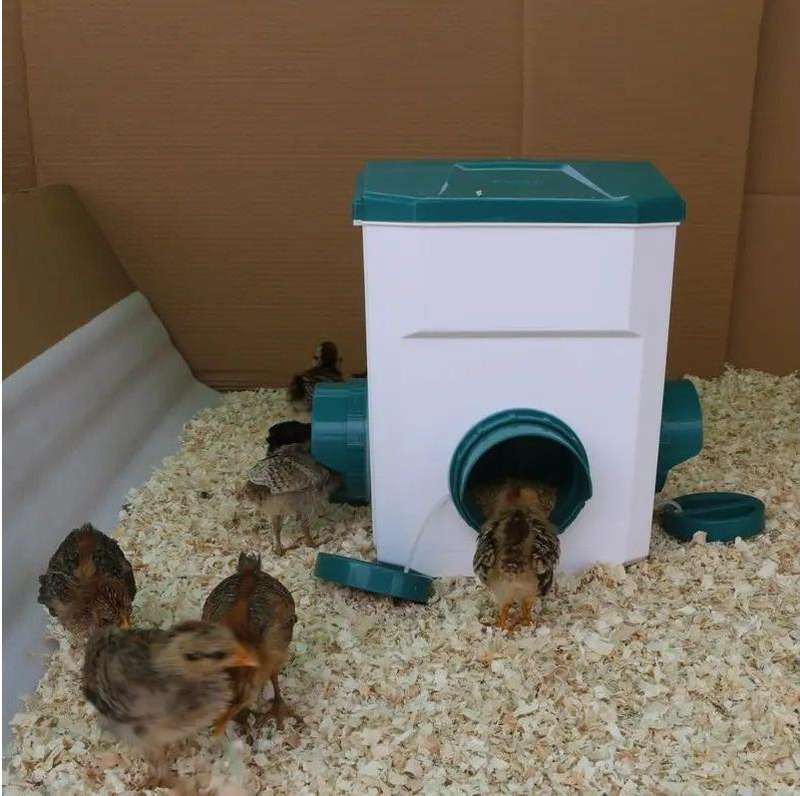 Automatic Blue Chicken Feeder-8kg