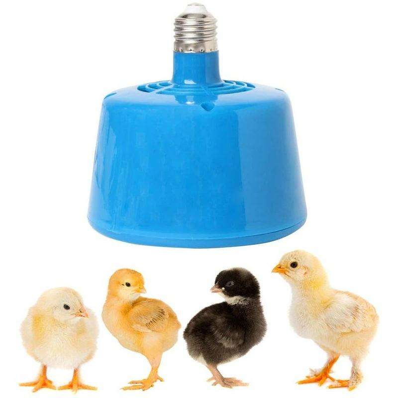 Blue Animal Heating Lamp