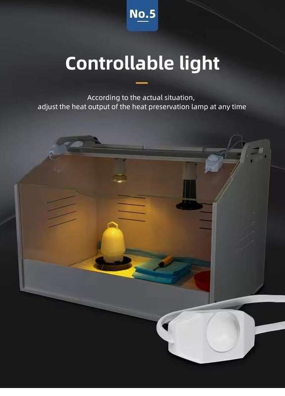 Chick Brooder Box All in 1 Kit