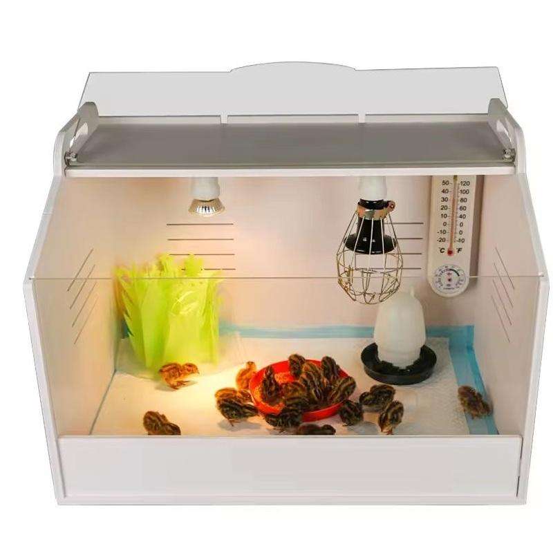 Chick Brooder Box All in 1 Kit