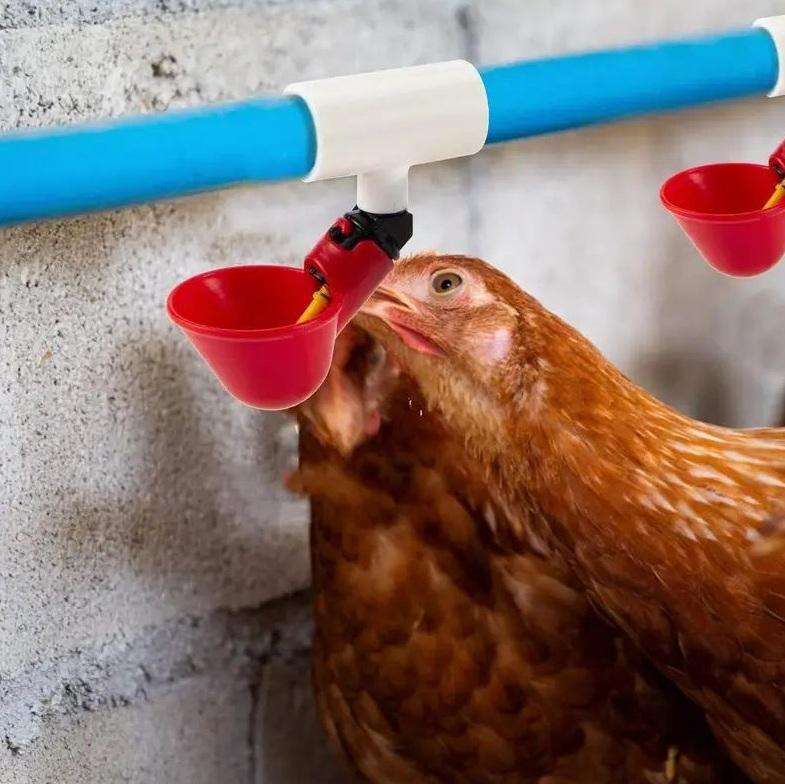 Chicken Waterer Cups and PVC Tee Fittings -20Pack