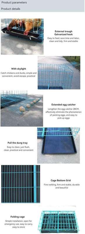 Chicken Egg Collection Cage