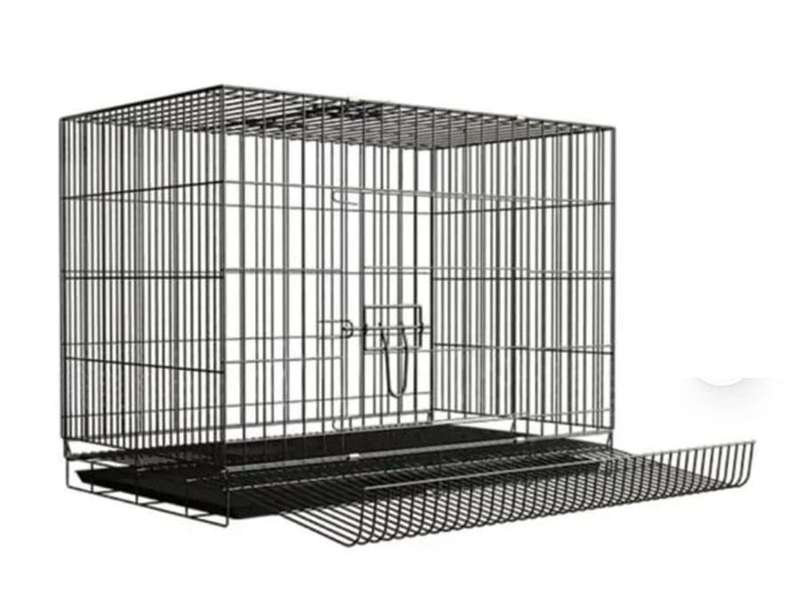 Chicken Egg Collection Cage