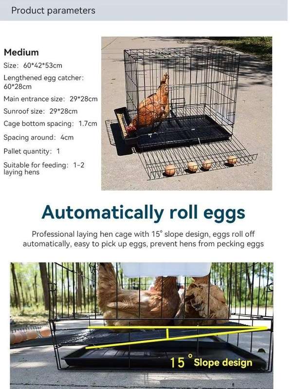Chicken Egg Collection Cage