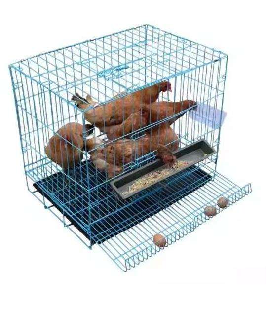 Chicken Egg Collection Cage