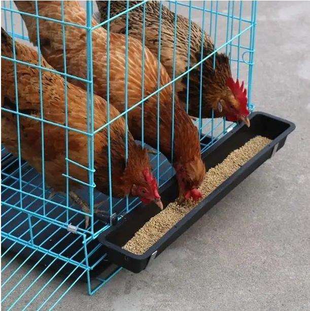 Chicken Egg Collection Cage