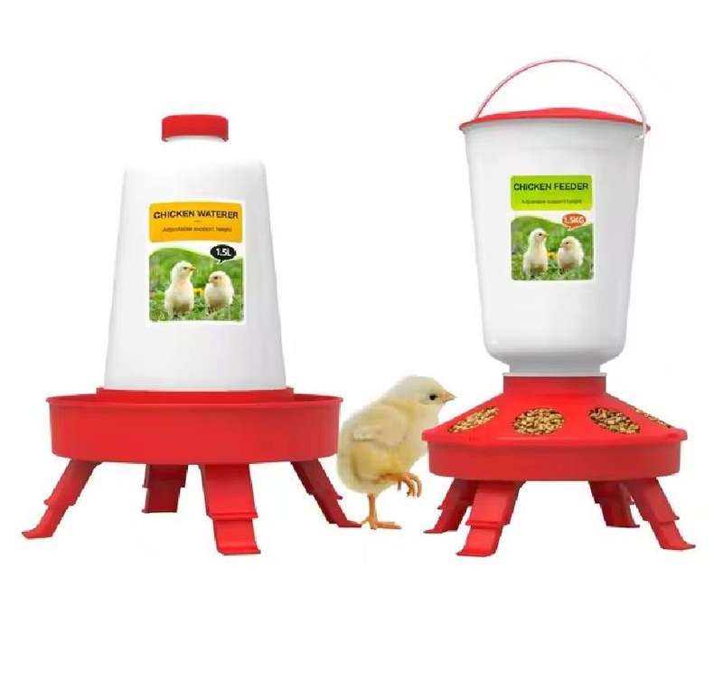 Chicken Waterer and Feeder Set with Adjustable Legs