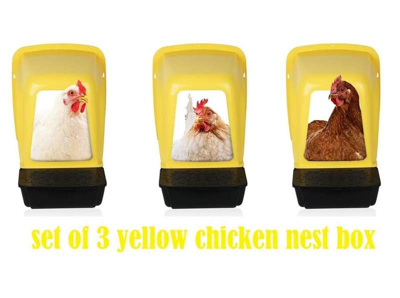Chicken Nesting Boxes Yellow -Pack of 3