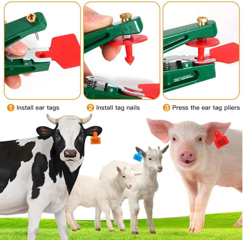Blue Cow Ear Tags numbered 0 to 100 -Pack of 100 Tags